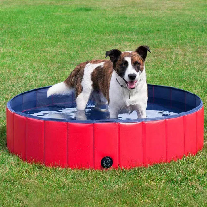 Foldable dog pool, durable and portable, set up outdoors for pet swimming and play