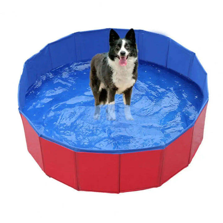 Summer dog accessory: a foldable pet pool, round, shown being filled with water