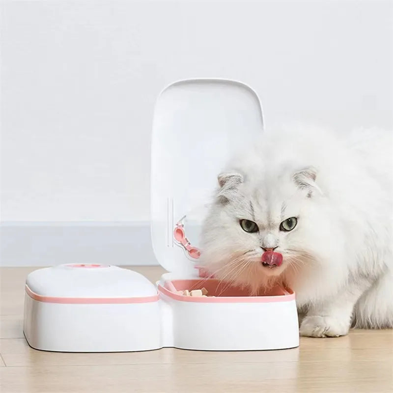 Pet food dispenser, automatic and programmable, in gray for hassle-free dog and cat feeding.