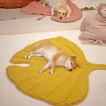 Ginkgo Yellow - 50*45 in