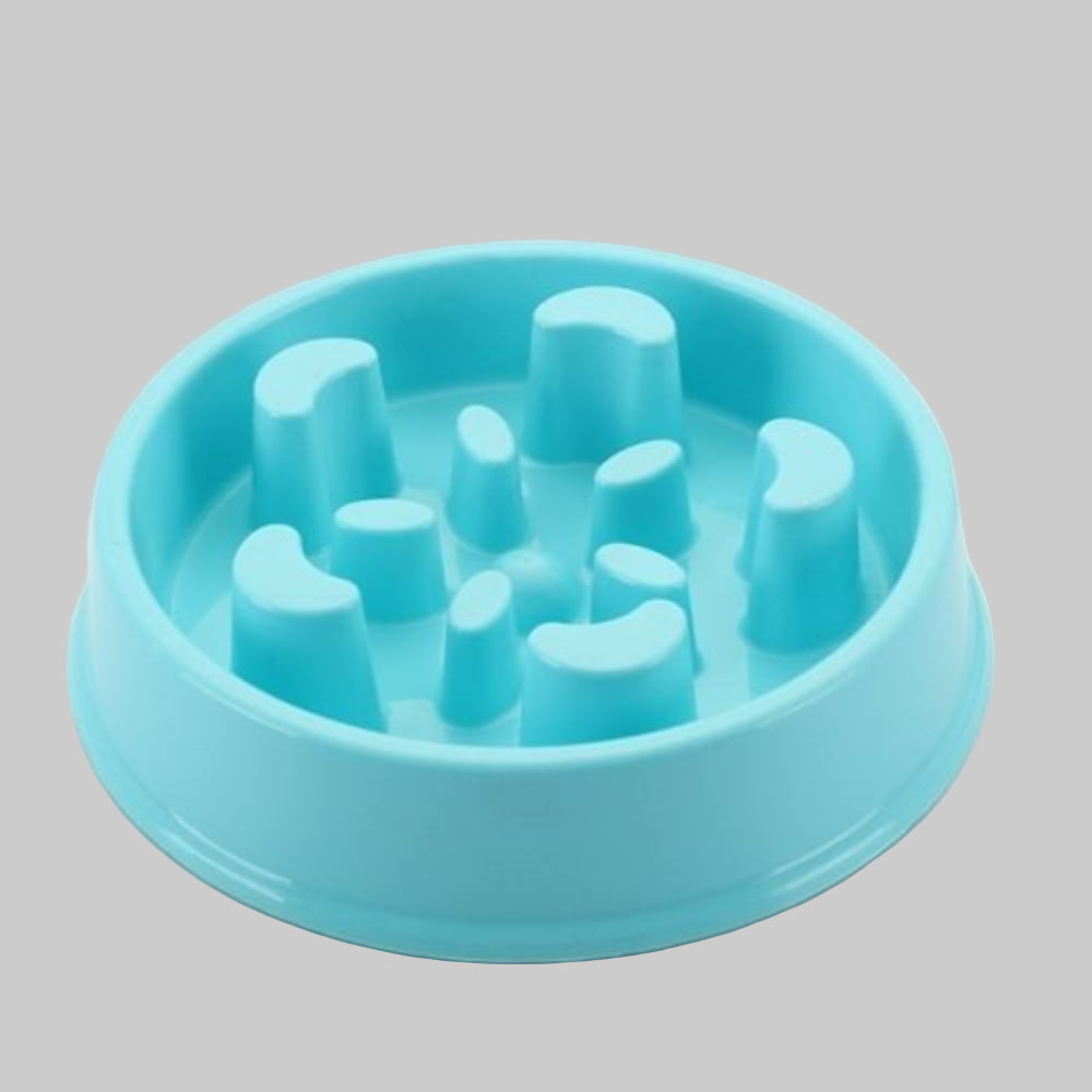 Durable anti-choke slow feeder dog bowl, non-slip for pet health and easy cleaning