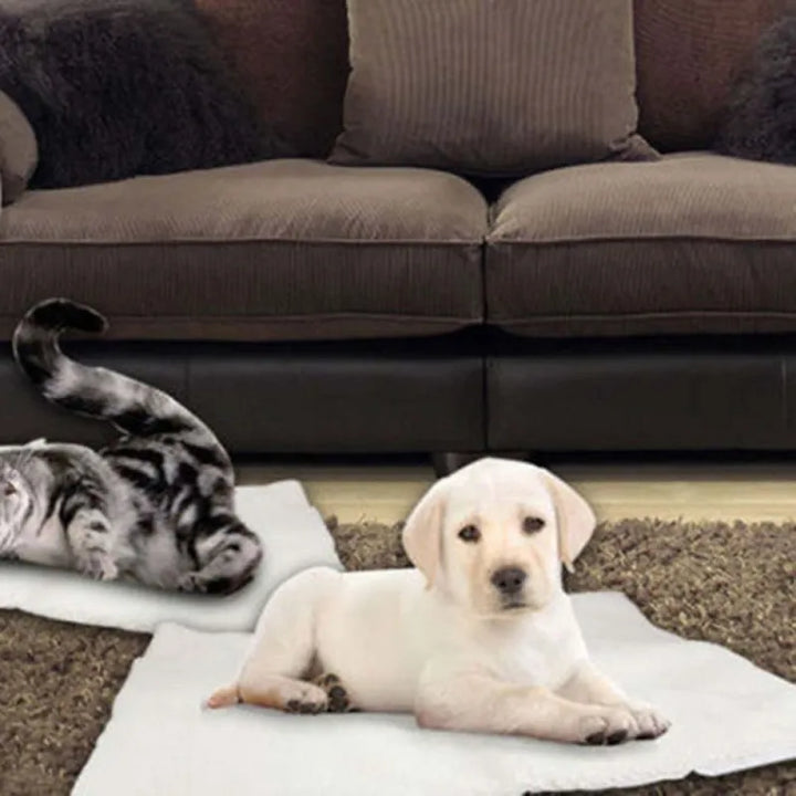 Grey self-warming pet mat providing cozy comfort for cats and small dogs