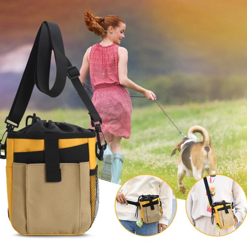 Unisex waterproof dog treat training bag, ideal for pet owners during outdoor walks and training sessions