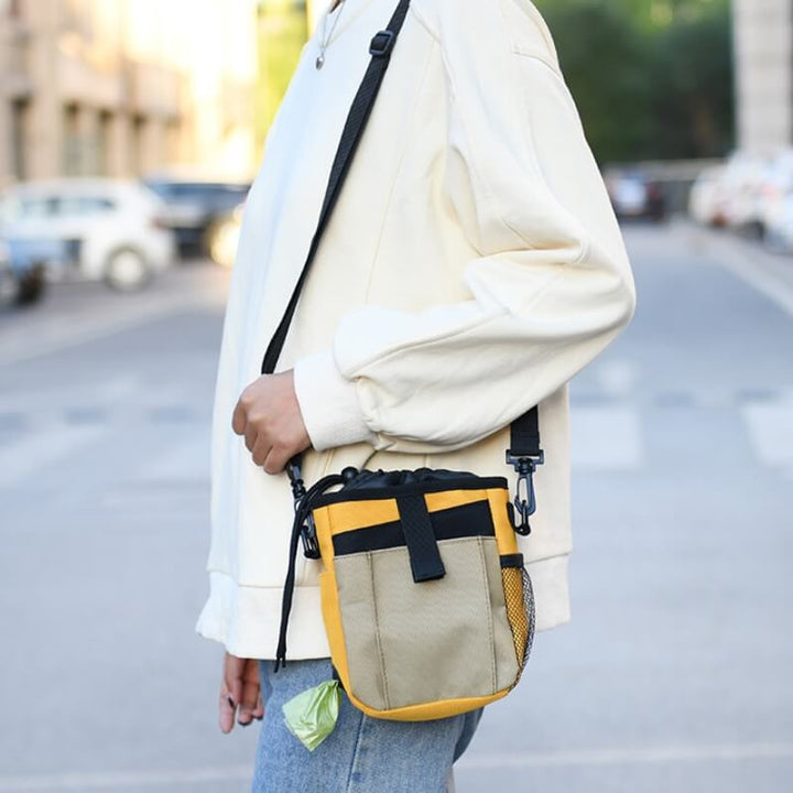 Pet training treat bag with multiple pockets and hands-free design, essential dog walking accessory