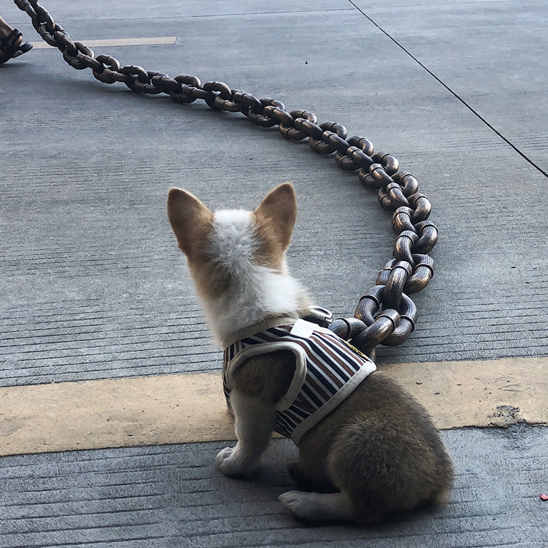 Large dog being walked confidently with a blue heavy-duty, tangle-free pet accessory leash