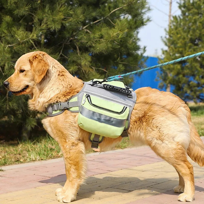 High-visibility dog safety vest with reflective stripes, ideal for water activities & pet safety.