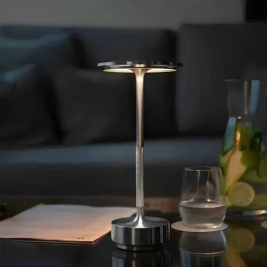 Indoor/outdoor portable LED lamp, dimmable with touch control, adds modern home decor.