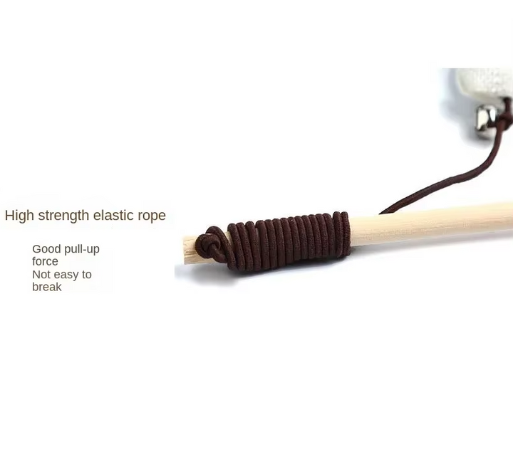 A vibrant feather bell cat toy, an essential for feline enrichment and play.