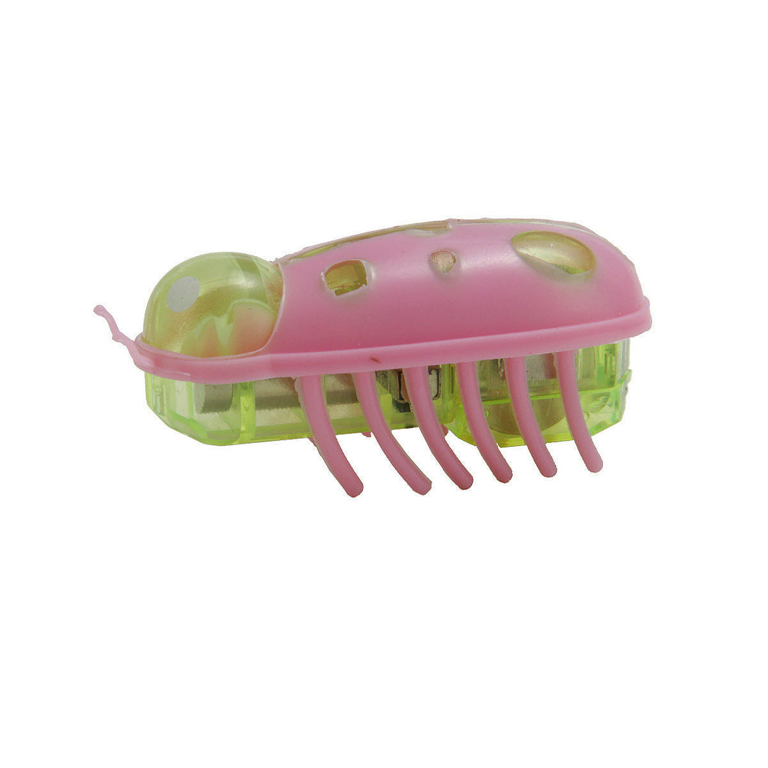 Happy cat engaging with an interactive insect toy, promoting healthy active playtime and fun.