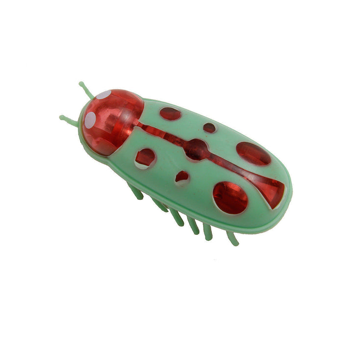 Vibrant interactive pet insect toy on a carpet, ready for exhilarating cat playtime sessions.