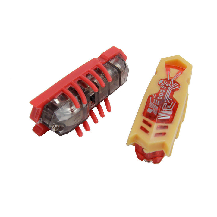 Close-up of an interactive insect cat toy, showcasing its detailed design for pet playtime.