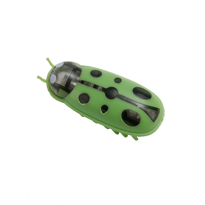 Compact interactive pet insect toy for cats, ideal for indoor playtime and endless entertainment.