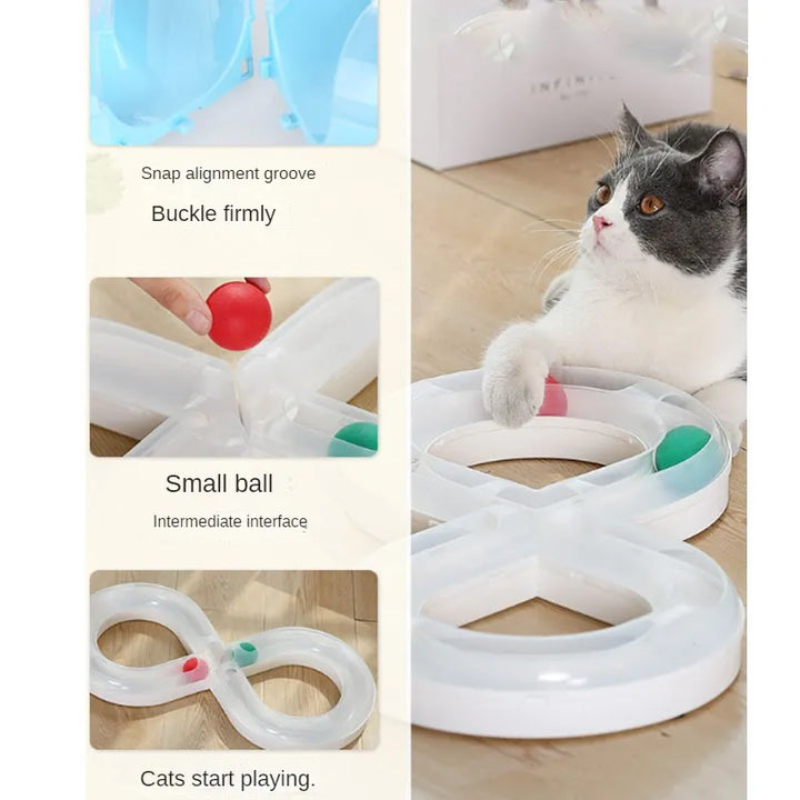 Cat batting at a moving ball in an interactive infinity track toy, pet supplies
