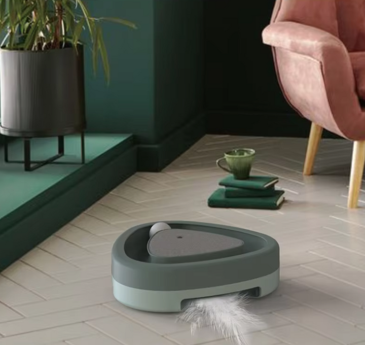 Close-up of cat playing with ball in the interactive track toy, exercising and stimulating claws