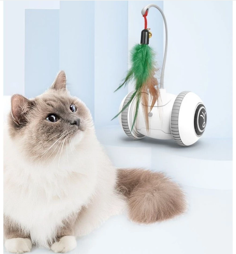 Interactive cat toy with feather wand and rotating base for playful kittens and cats