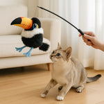 Toucan