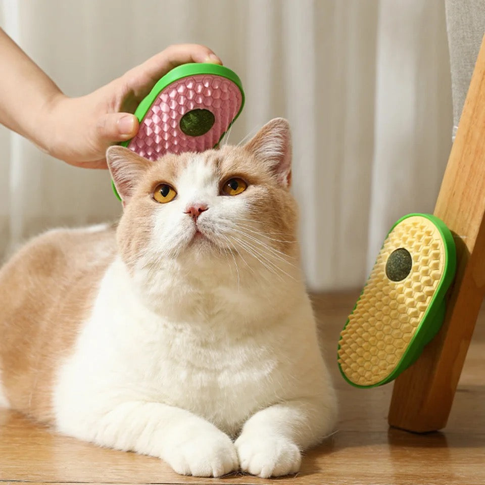 Interactive catnip grooming brush with soft silicone bristles, perfect for feline grooming & shedding