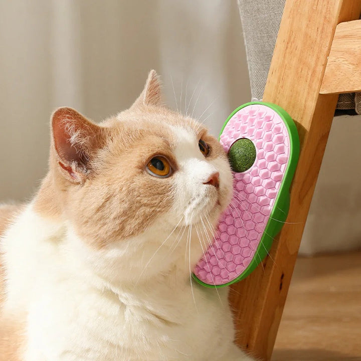 Close-up of a purple interactive catnip grooming brush, a dual-purpose pet care & toy accessory