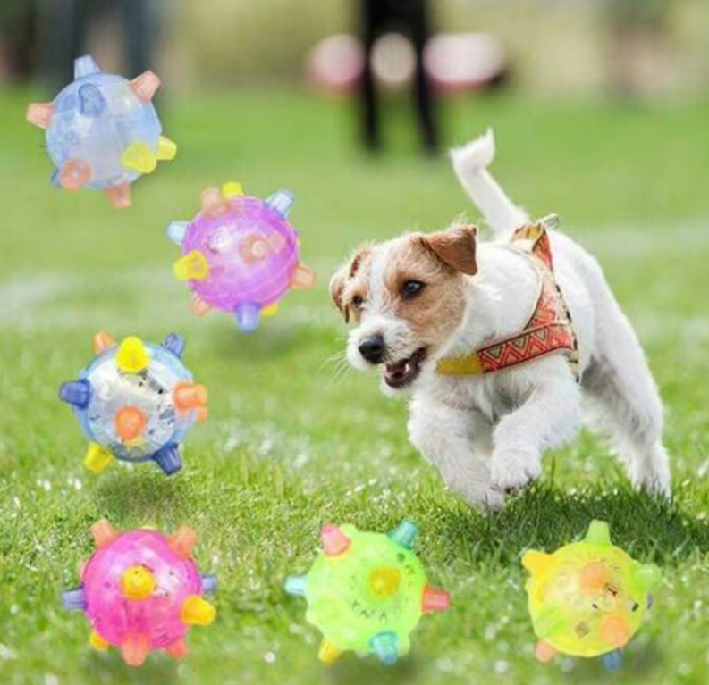 Interactive dog play ball with flashing lights and sound for enrichment and fun playtime