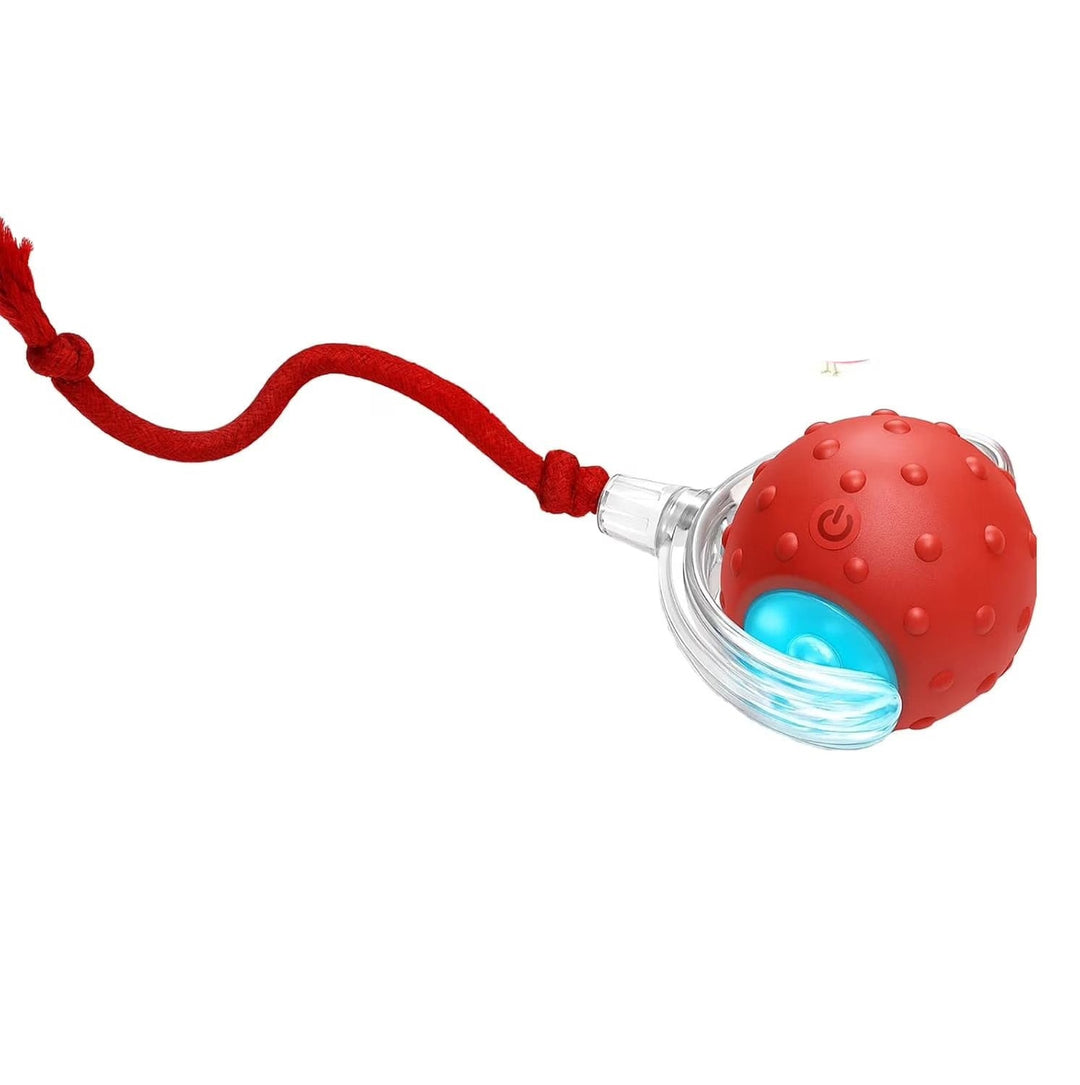 Interactive dog toy self-rolling ball for pet exercise and anxiety relief, USB rechargeable