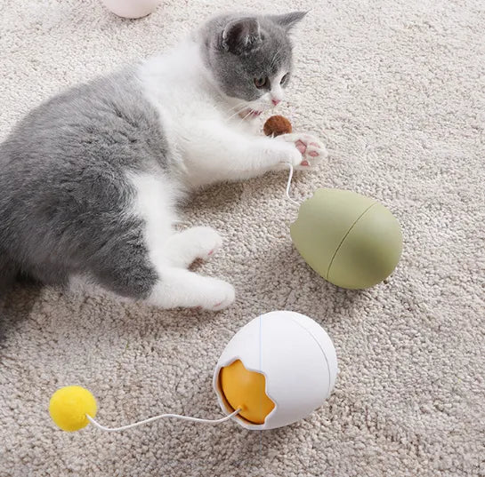 Interactive egg-shaped cat toy for feline enrichment with a moving internal ball
