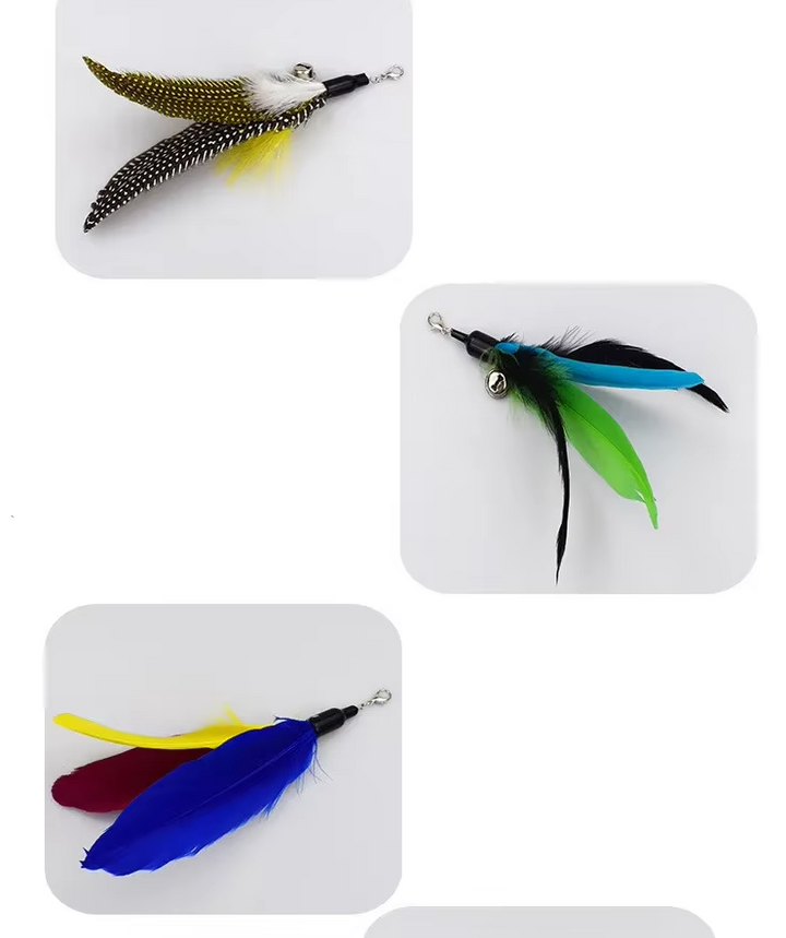 Various colorful feather attachments for an interactive cat wand, enhancing kitten enrichment
