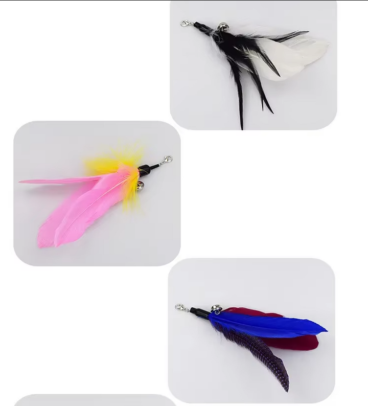 Packaging for an interactive feather cat wand toy, highlighting features for pet exercise