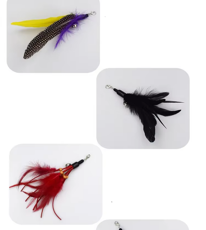 Cat observing an interactive feather wand toy, anticipating playful pounce and active enrichment