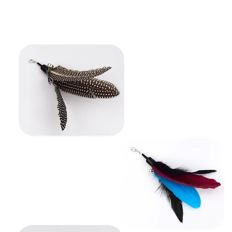 Feather cat wand toy with a long, flexible rod, ideal for broad range interactive pet exercise