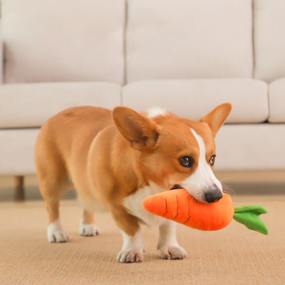 Close-up of a soft, interactive carrot dog toy with squeaker, perfect for pet playtime.