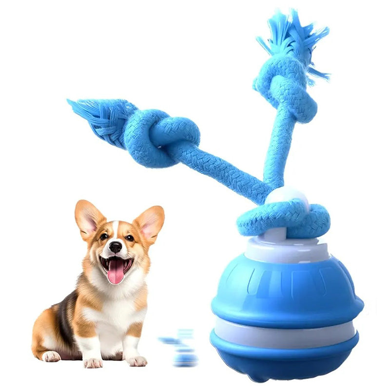 Interactive pet play ball with smart touch activation for dogs, a rechargeable and durable enrichment toy