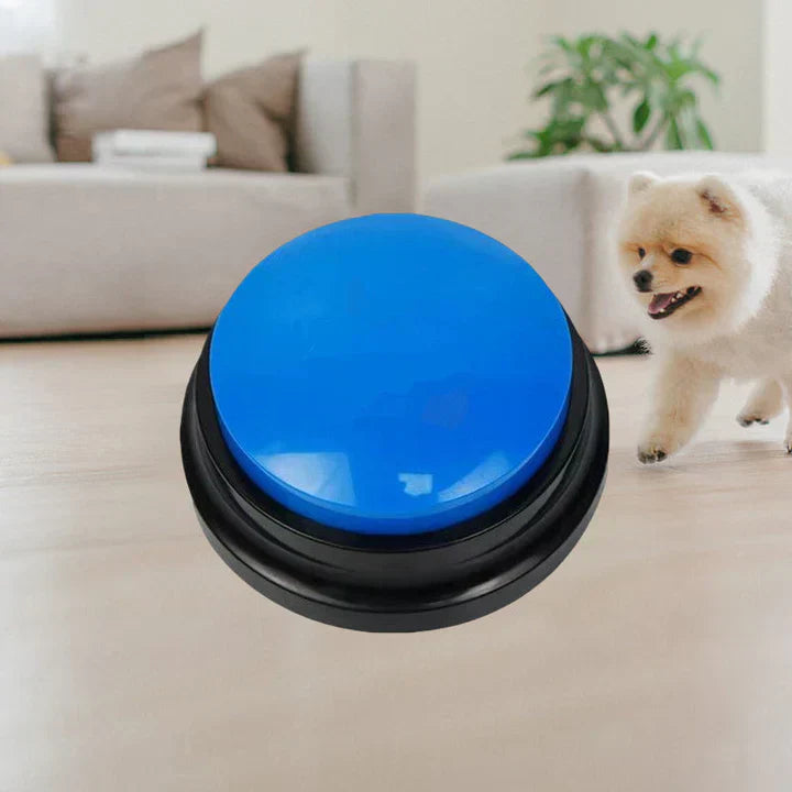Set of interactive pet communication buttons for animal training