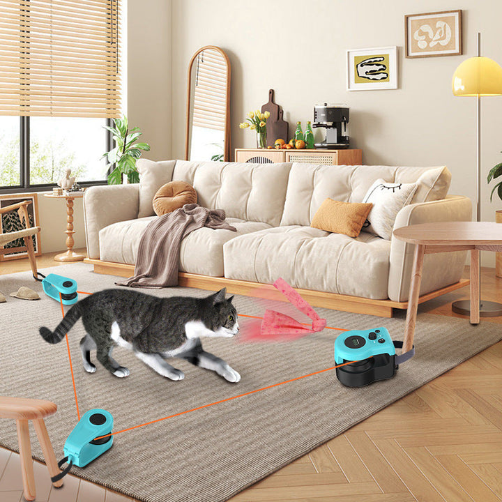 Rechargeable interactive cat toy with a remote control attracting a cat to play