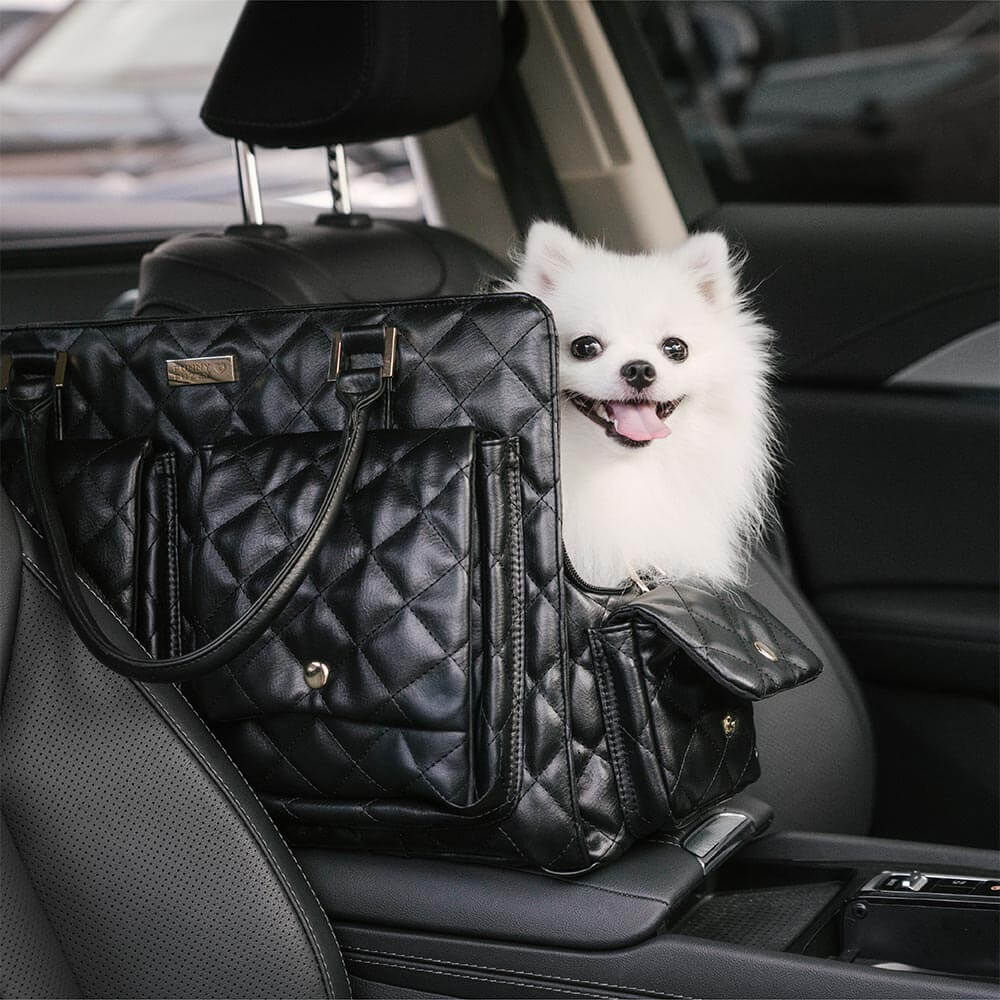 Black large multi-functional pet travel carrier, suitable for two small pets simultaneously