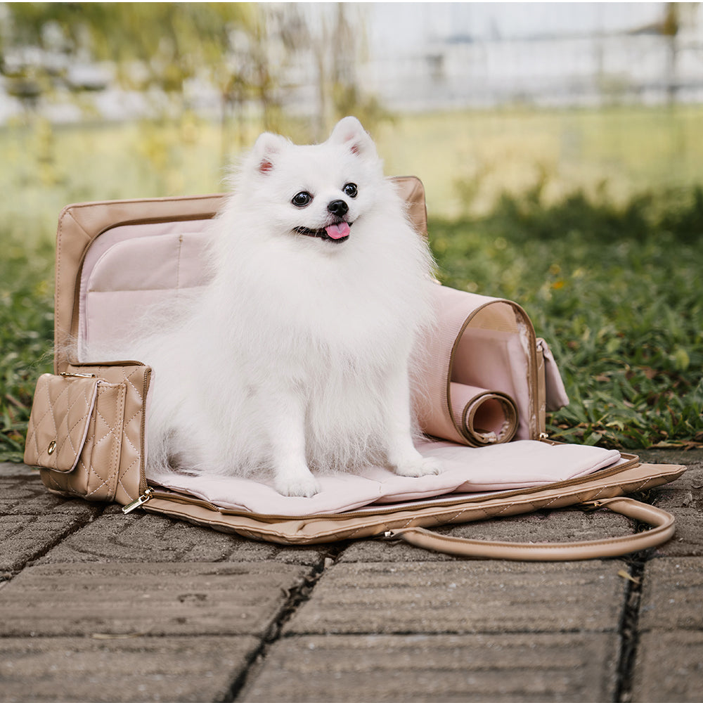 Black multi-functional pet travel carrier, robust design for dog and cat safety on the go