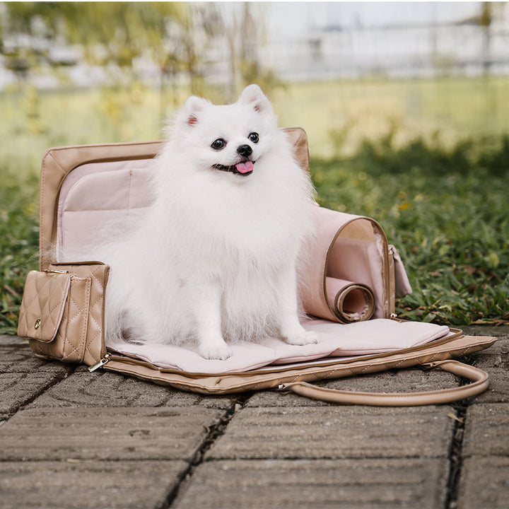 Black multi-functional pet travel carrier, robust design for dog and cat safety on the go
