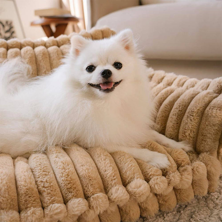 Orthopedic pet bed, large, with headrest feature, washable for hygiene