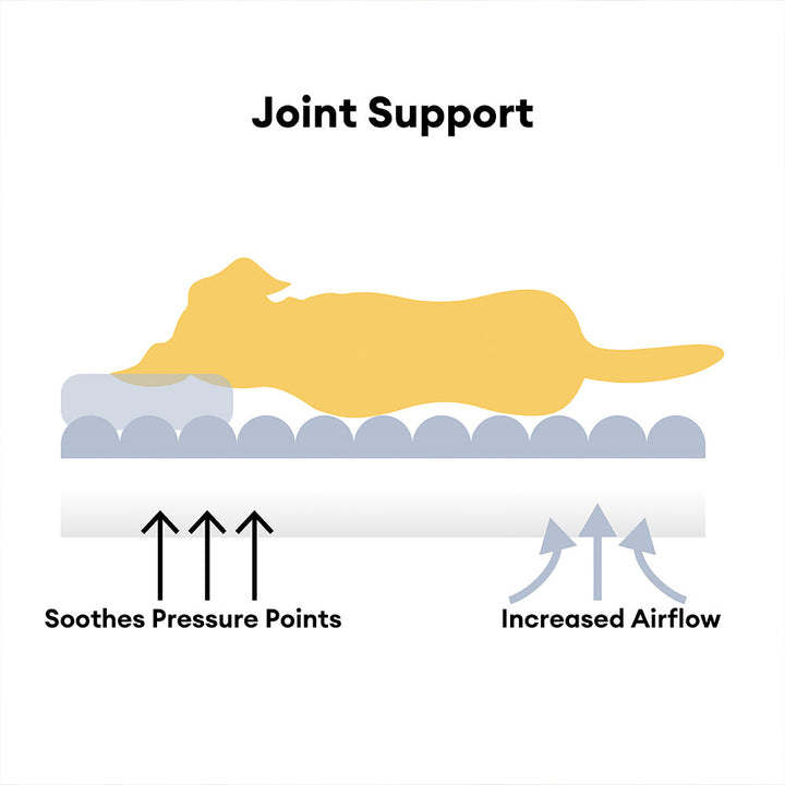 Dog bed, large, orthopedic, with soft headrest and removable cover for washing