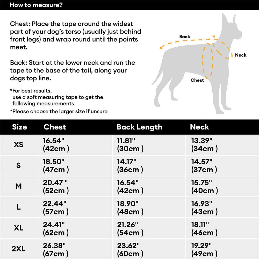 Dog in a plaid poncho with a winter landscape background, adventurous pet apparel.