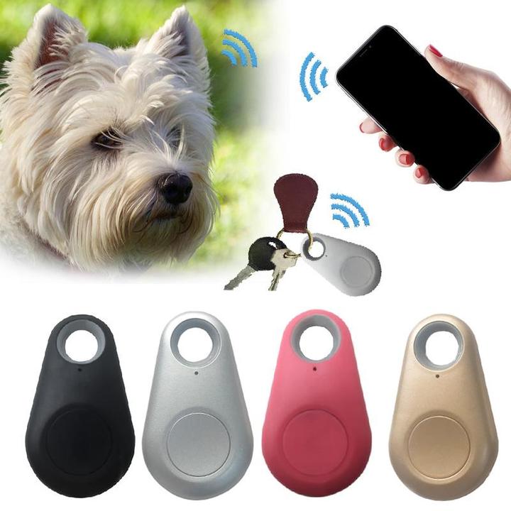 Close-up of a small, durable pet safety GPS tracker, ideal for real-time tracking of dogs and cats.