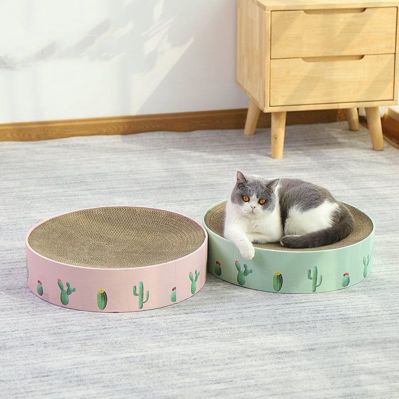 Modern cactus cat scratching board with cardboard base, sisal rope posts & green accents for feline care.