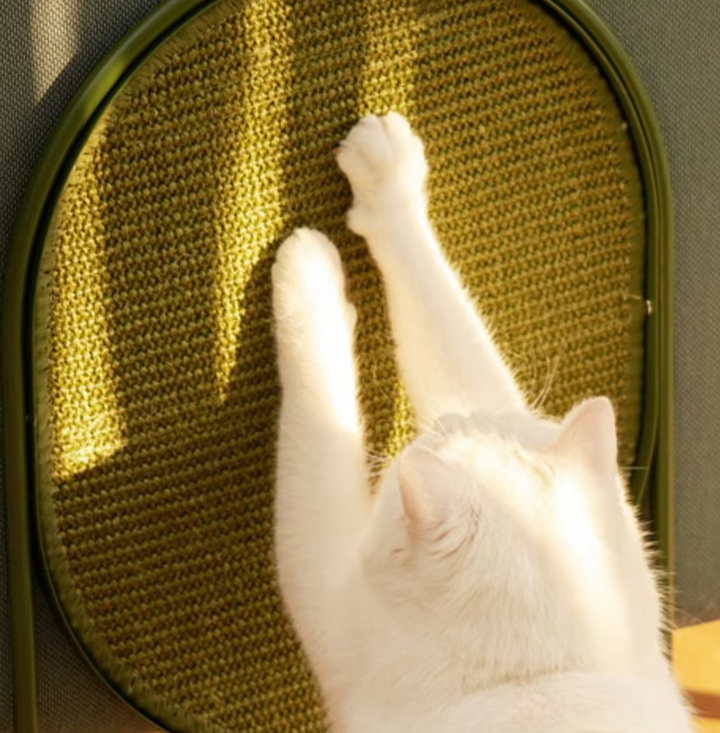 Modern cat scratching post with durable sisal rope, plush base, and hanging toy for cats to play and scratch