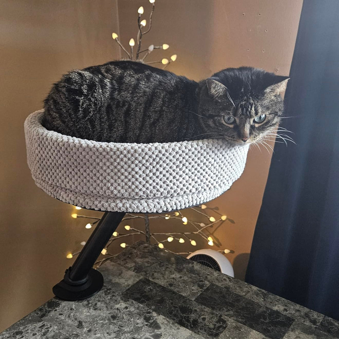 Product packaging for a desk-mounted cat bed, highlighting its features for the ultimate workspace pet.