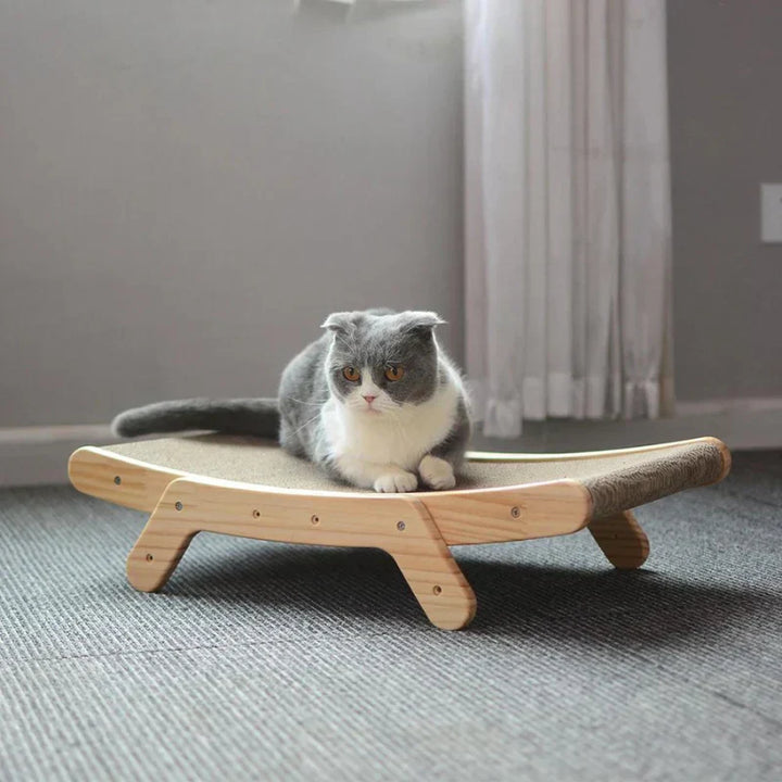 Modern eco-friendly cat scratcher lounger, a versatile pet furniture piece for feline care and play