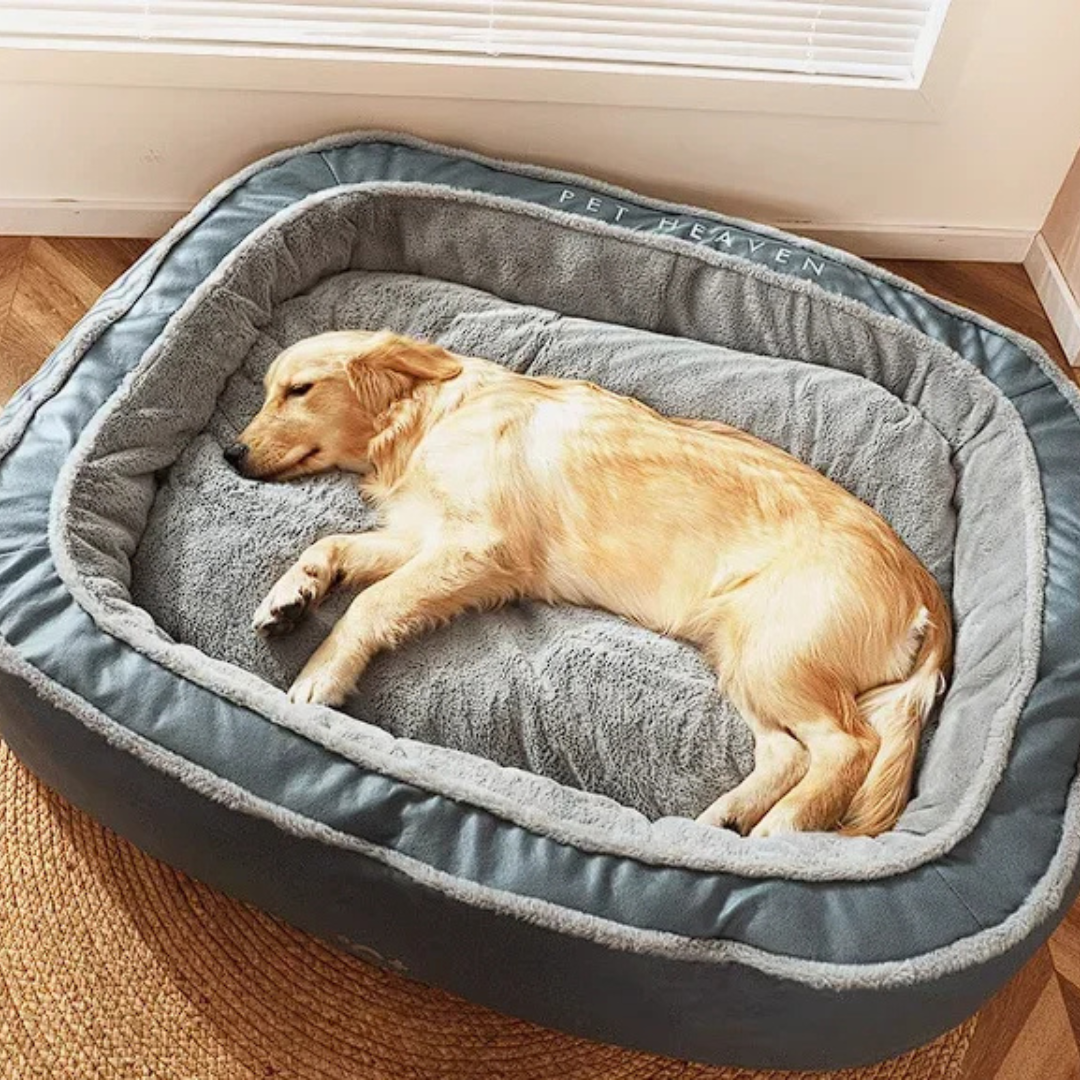 Modern elevated bolster dog bed with supportive raised edge, cozy pet comfort furniture for sleeping