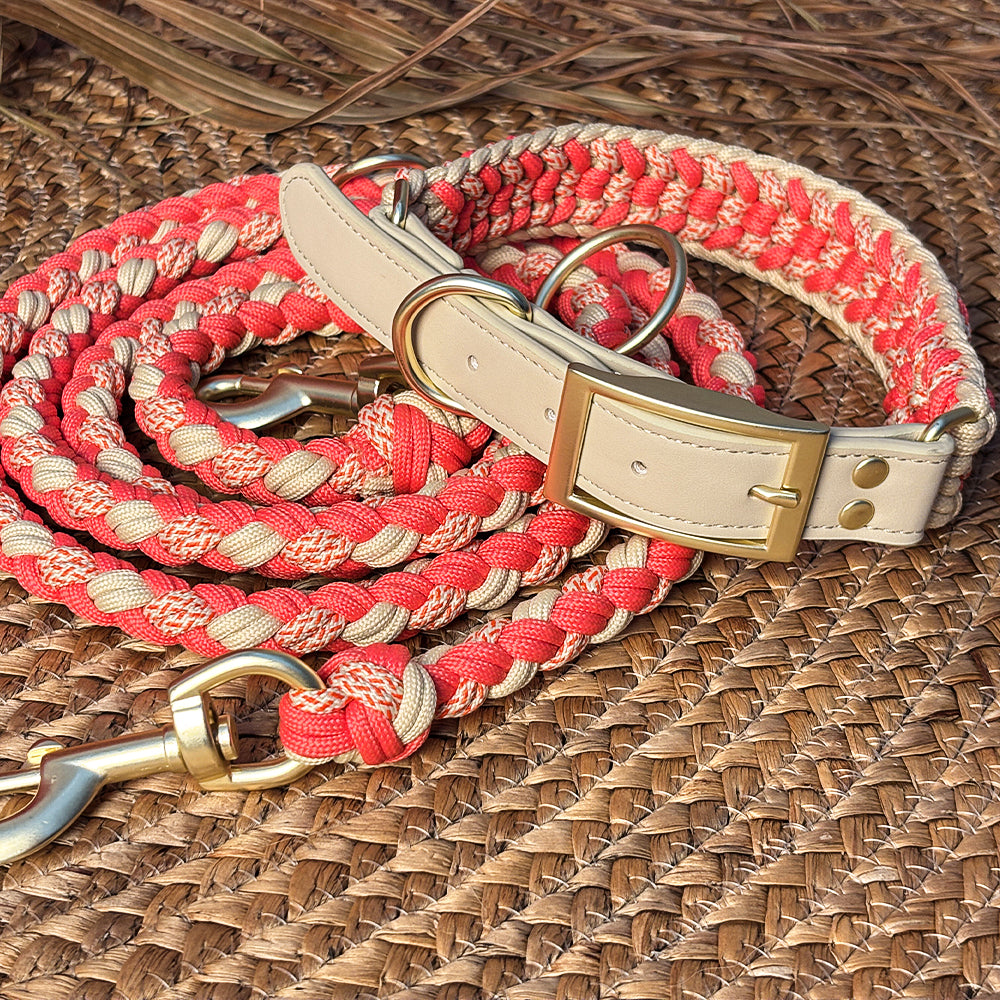 Dog wearing anti-pull collar during a walk, showing comfortable fit and control, pet supplies