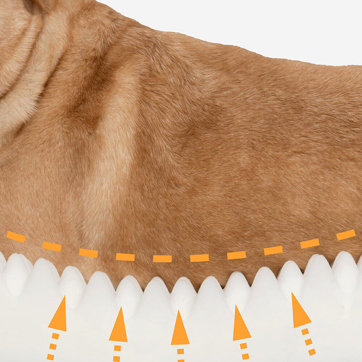 Orthopedic pet sofa bed with removable, machine-washable cover for easy cleaning
