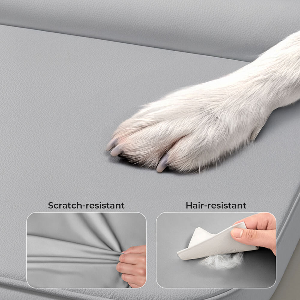Durable pet furniture: scratch-resistant, orthopedic dog bed with removable, washable cover.