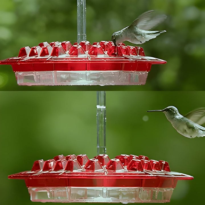Blue polycarbonate hummingbird feeder, easy clean, ant-proof design with convenient perches for outdoor garden living.