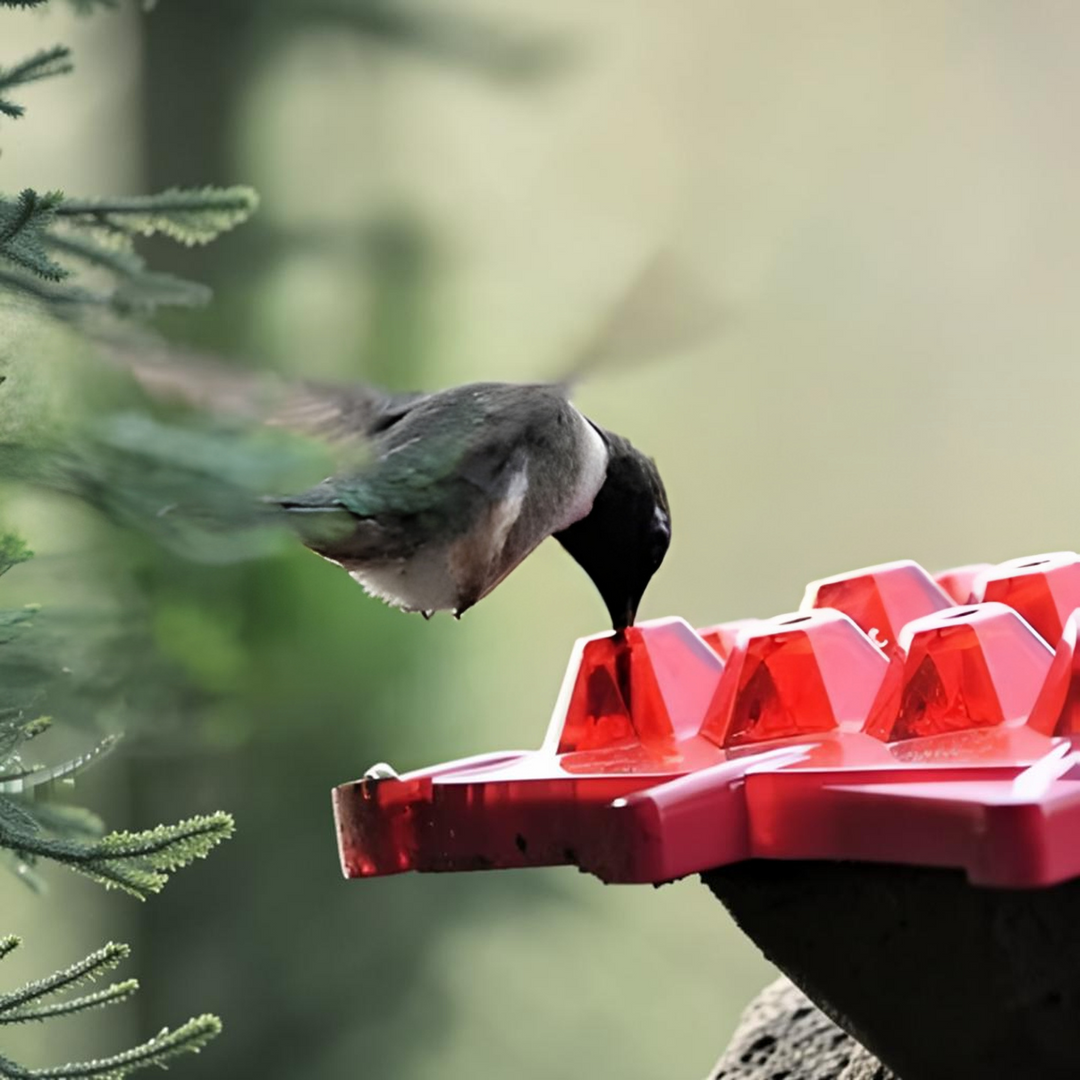 Easy clean ant-proof nectar feeder with perches, designed to attract hummingbirds and enhance your outdoor garden.